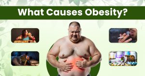  causes of obesity