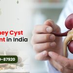 Best Kidney Cyst Treatment in India – Causes, Symptoms & Natural Remedies