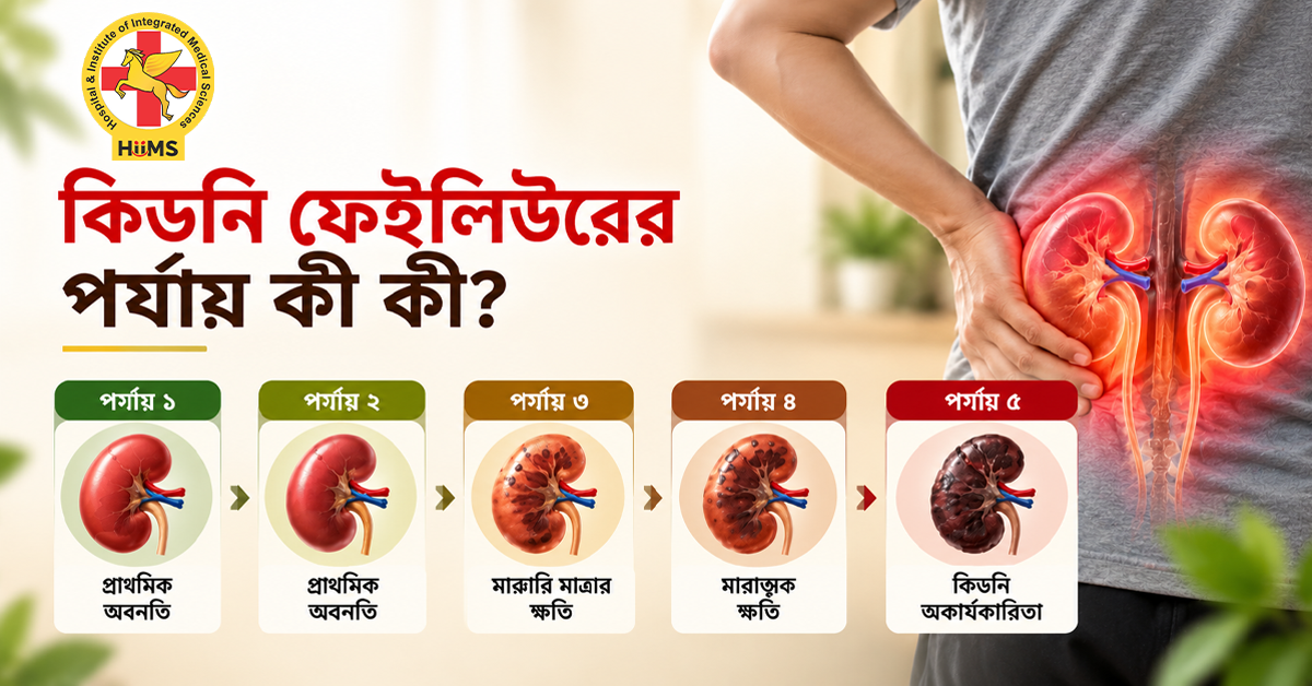 কিডনি-ফেইলিউরের-পর্যায়-কী-কী