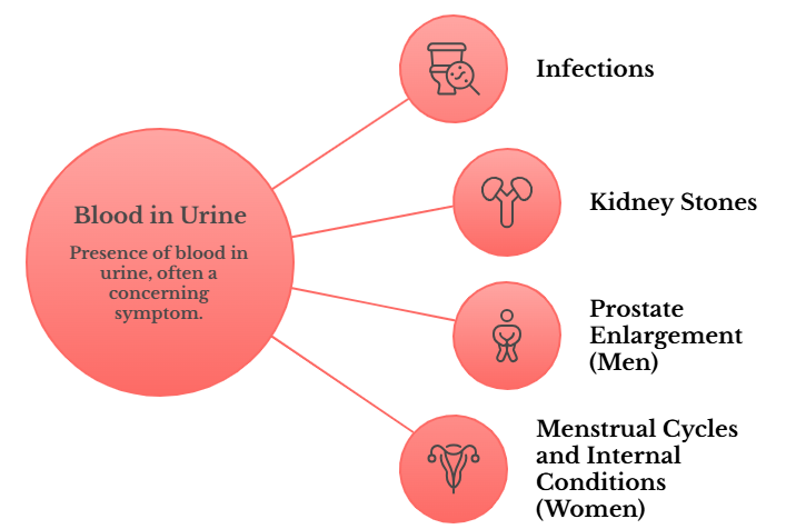  Common causes of blood in urine 