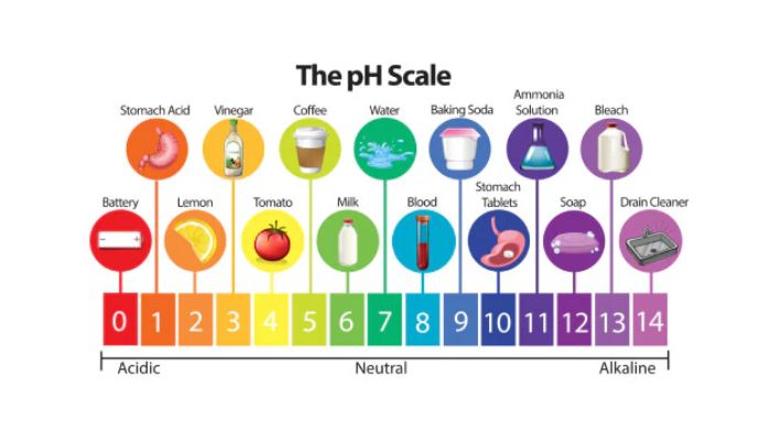 pH-balanced diet