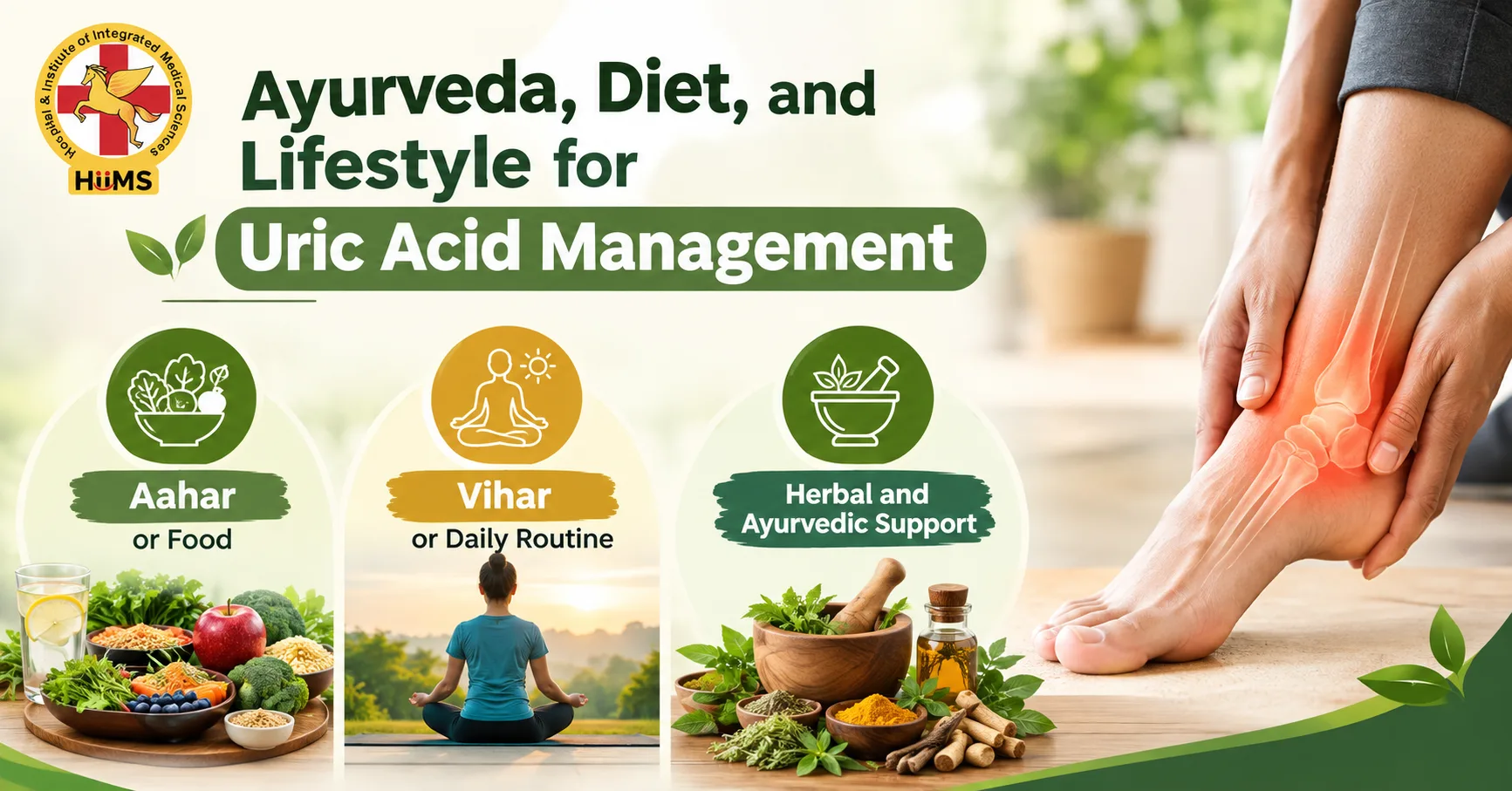 Uric Acid Management