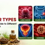 Cancer Types: A Complete Guide to Different Types of Cancer