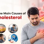 What Are the Main Causes of High Cholesterol in Adults?
