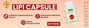 lipi capsule for cholesterol 