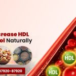 How to Increase HDL Cholesterol Naturally: Diet and Lifestyle Tips