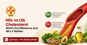 HDL vs LDL Cholesterol