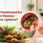Ayurvedic Treatment for Gallbladder Stones: What Are the Options?