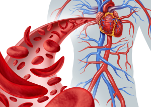 improve blood circulation 