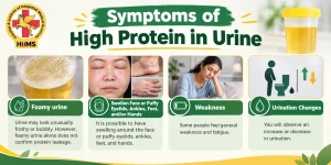 Symptoms of High Protein in Urine