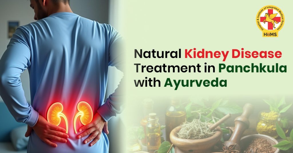 Ayurvedic Kidney Treatment in Panchkula