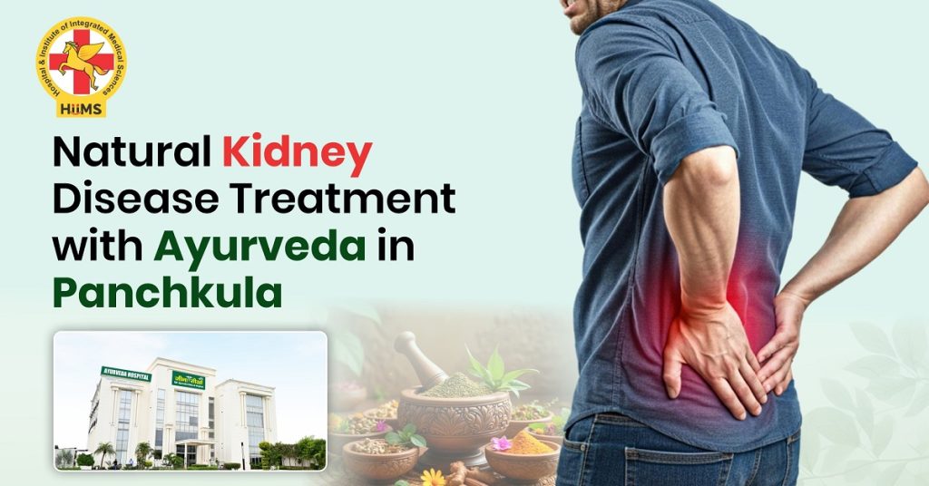 Kidney disease treatment in Panchkula