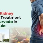 Kidney disease treatment in Panchkula