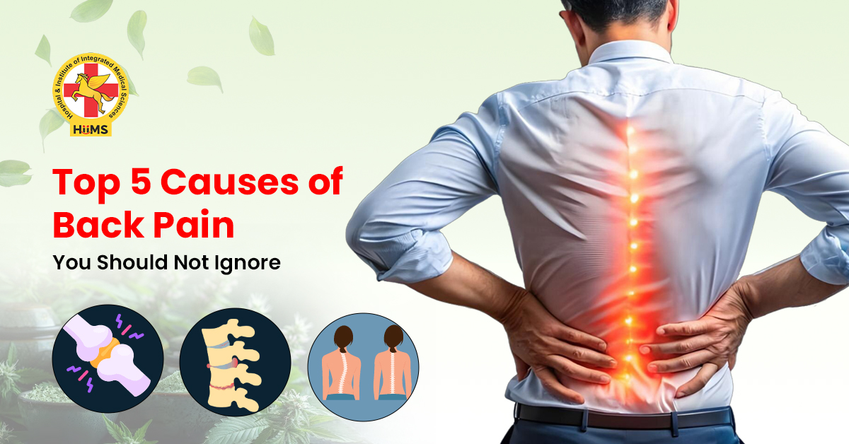 Top 5 Causes of Back Pain You Should Not Ignore