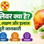 फैटी लिवर क्या है? इसके ग्रेड, लक्षण और इलाज की पूरी जानकारी