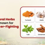 Top 6 Natural Herbs and Spices Known for Their Cancer-Fighting Properties