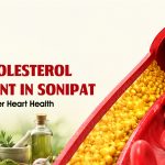 High Cholesterol Treatment in Sonipat | A Guide to Better Heart Health
