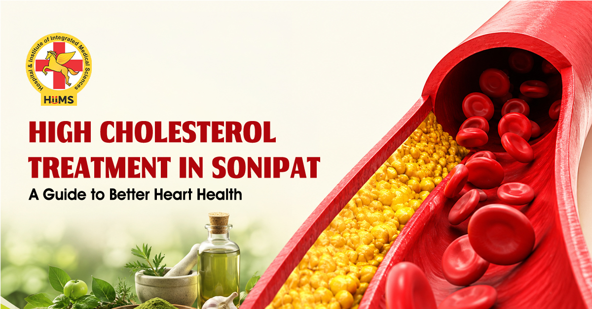 High Cholesterol Treatment in Sonipat