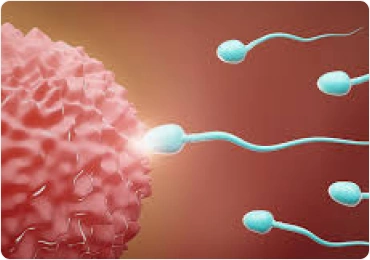 Infertility