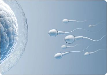 Infertility